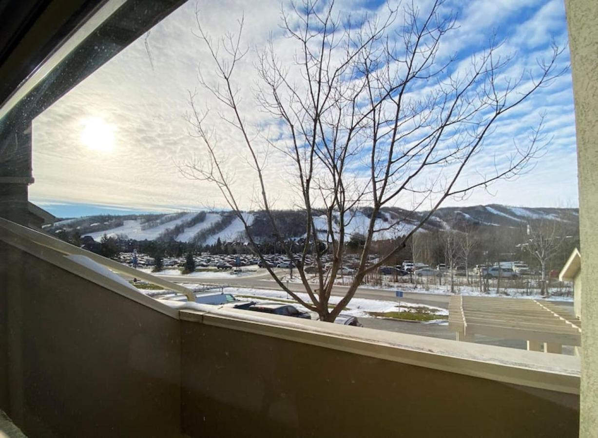 Lovely 3 Bedroom Wintergreen Retreat W Sauna 蓝山 外观 照片