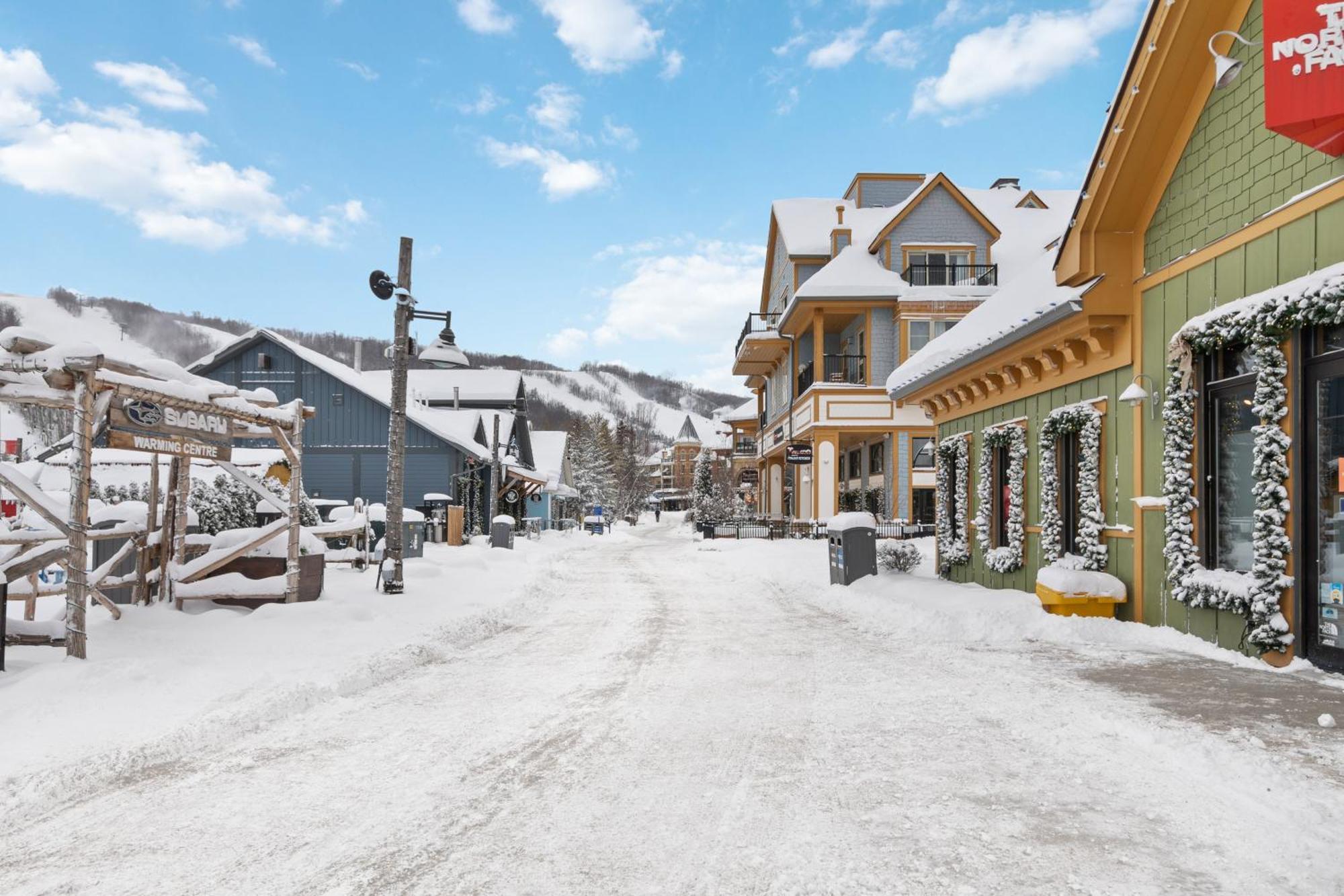 Lovely 3 Bedroom Wintergreen Retreat W Sauna 蓝山 外观 照片